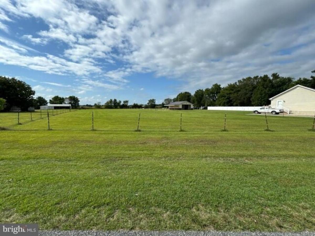 Picture of Residential Land For Sale in Selbyville, Delaware, United States