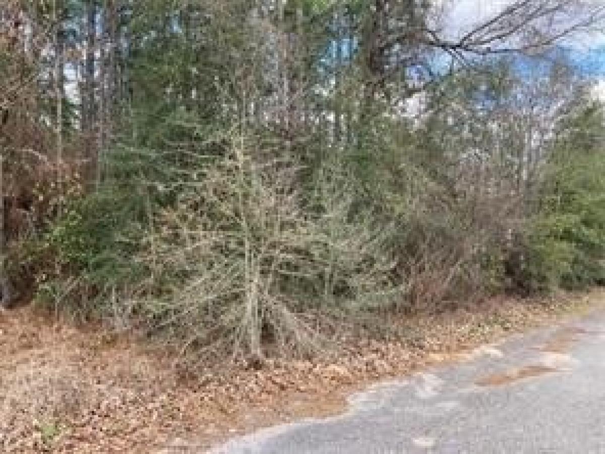 Picture of Residential Land For Sale in Axis, Alabama, United States