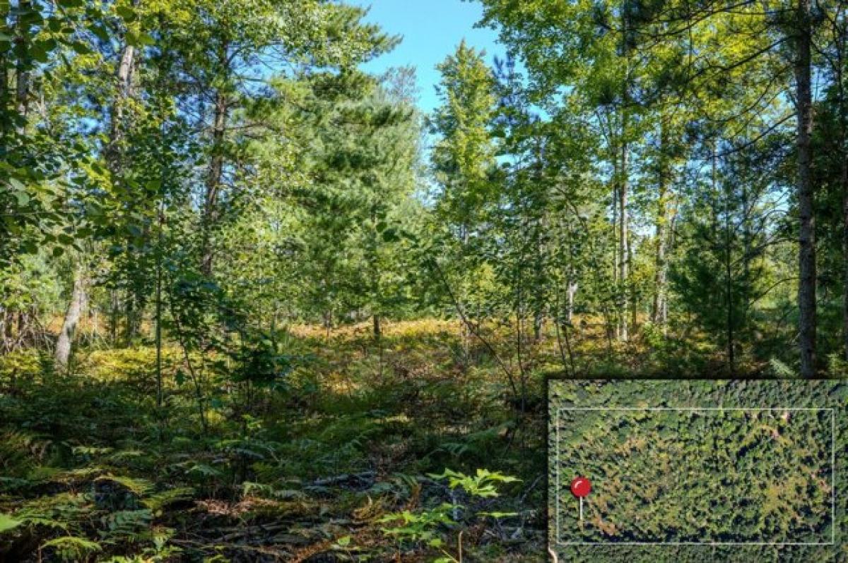 Picture of Residential Land For Sale in Lake City, Michigan, United States