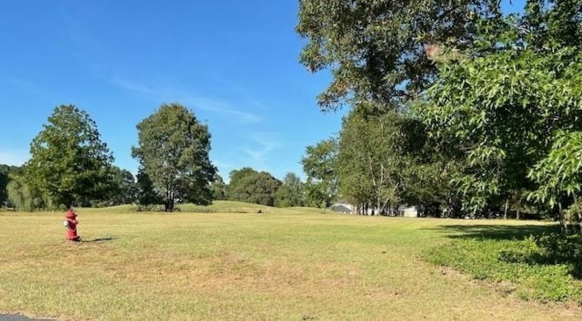 Picture of Residential Land For Sale in Manning, South Carolina, United States