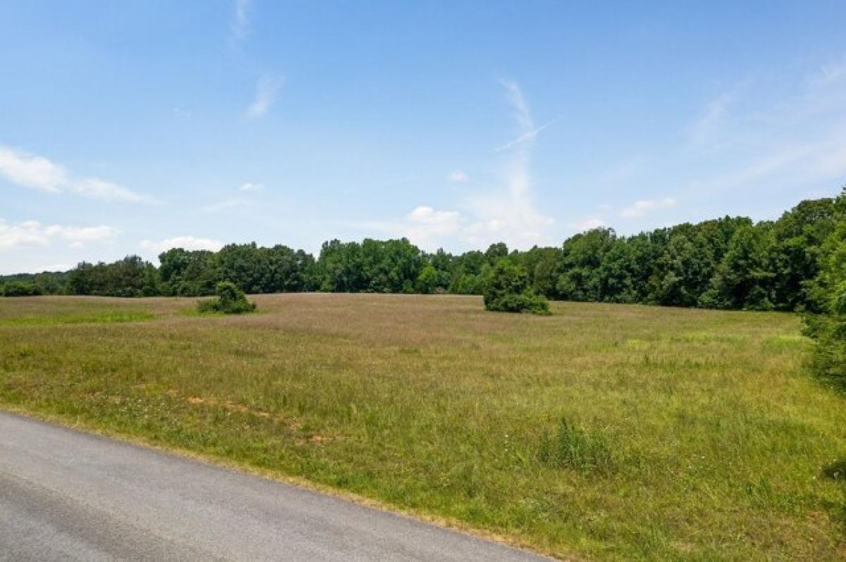 Picture of Residential Land For Sale in Rock Island, Tennessee, United States