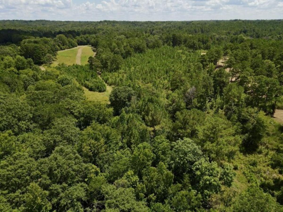 Picture of Residential Land For Sale in Union Springs, Alabama, United States