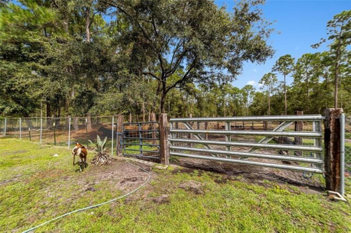 Picture of Home For Sale in Hawthorne, Florida, United States