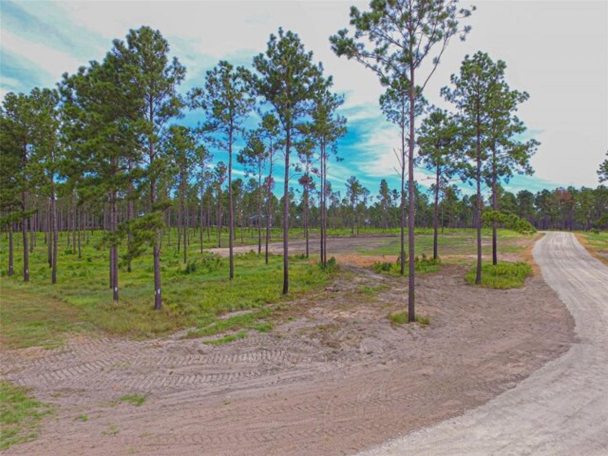 Picture of Residential Land For Sale in Livingston, Texas, United States