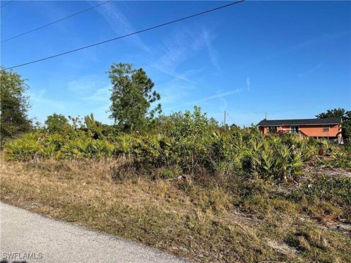 Picture of Residential Land For Sale in Lehigh Acres, Florida, United States