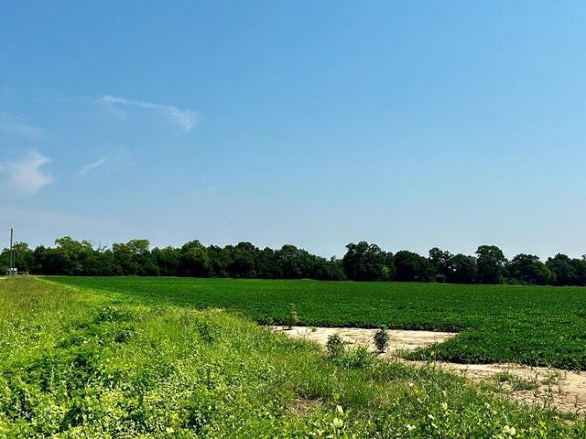 Picture of Residential Land For Sale in Headland, Alabama, United States