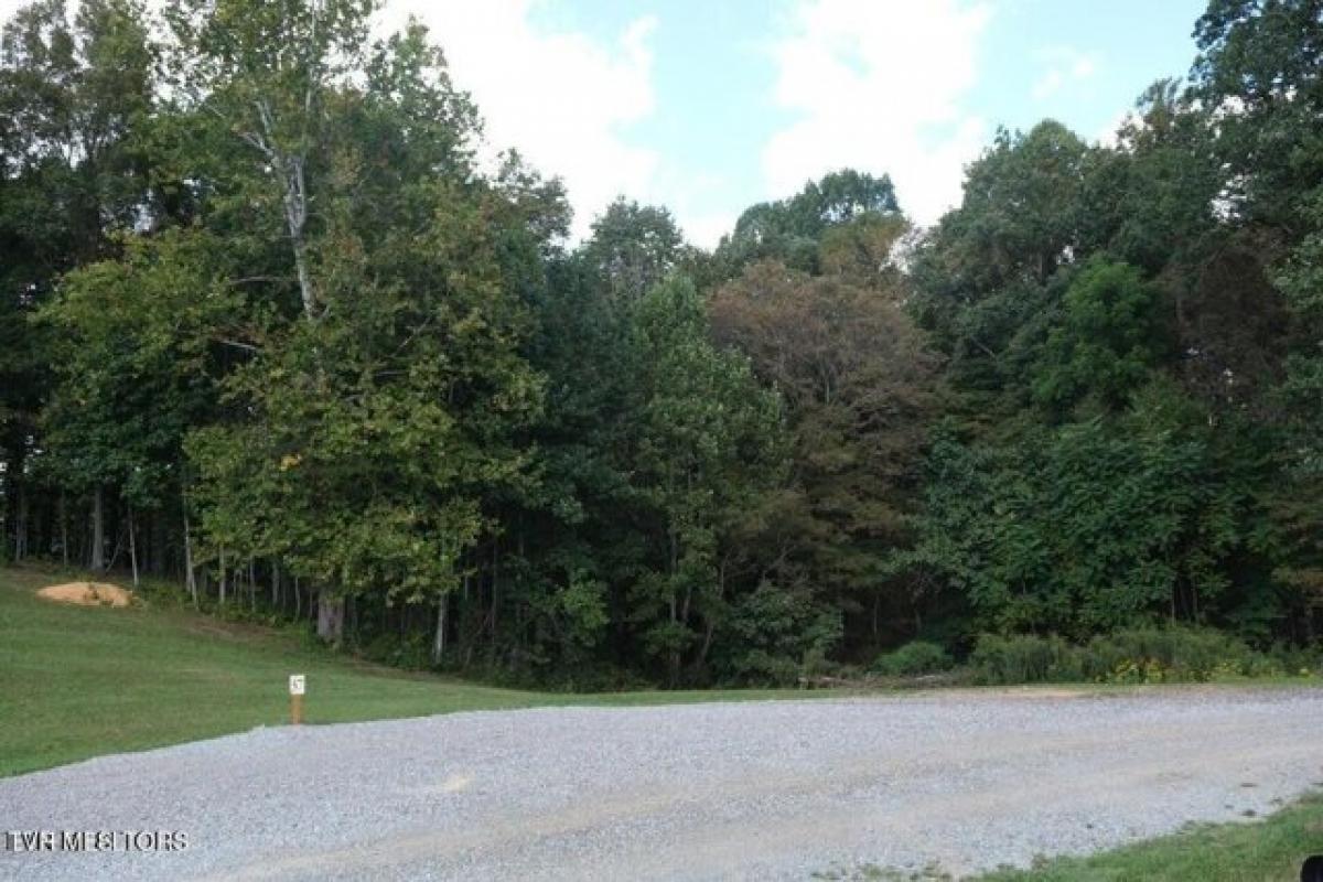 Picture of Residential Land For Sale in Butler, Tennessee, United States