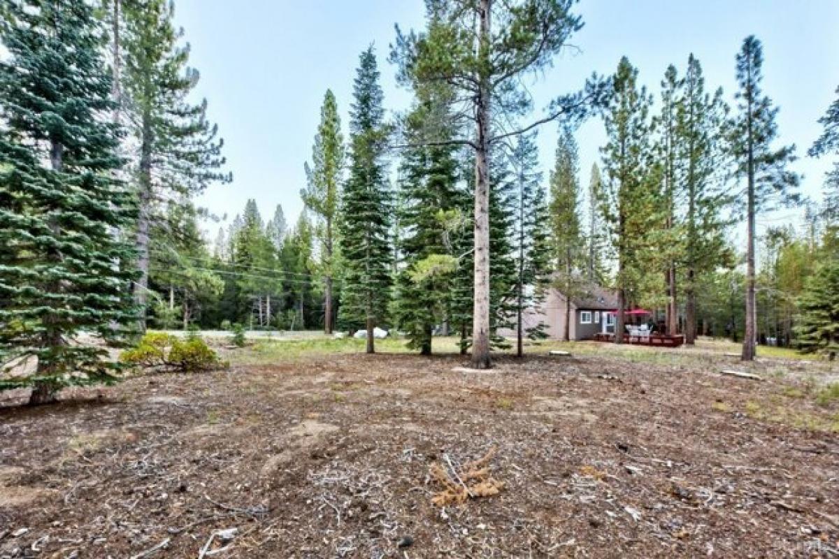 Picture of Residential Land For Sale in South Lake Tahoe, California, United States