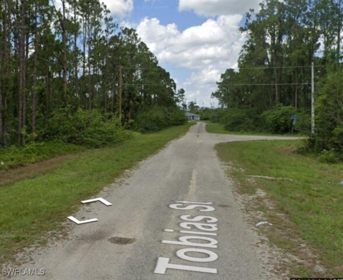 Picture of Residential Land For Sale in Lehigh Acres, Florida, United States