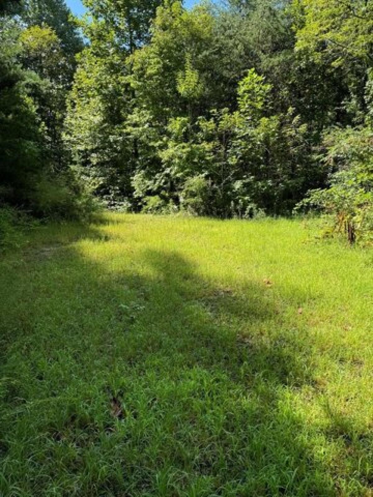 Picture of Residential Land For Sale in Bryson City, North Carolina, United States