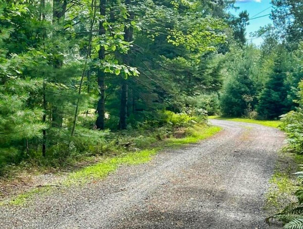 Picture of Residential Land For Sale in Lamoine, Maine, United States