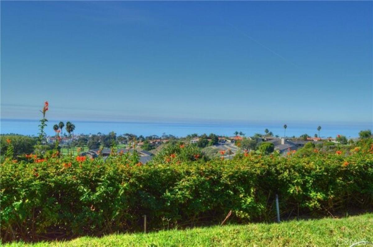 Picture of Home For Rent in San Clemente, California, United States