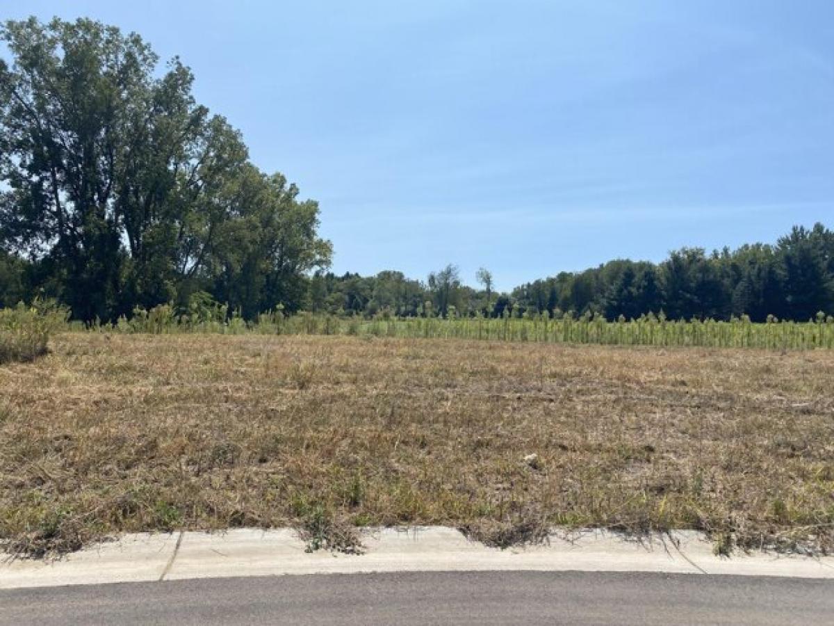 Picture of Residential Land For Sale in Allendale, Michigan, United States