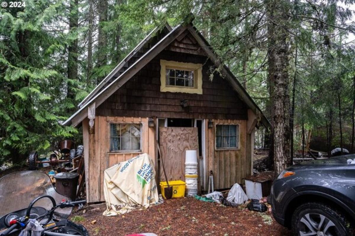 Picture of Home For Sale in Government Camp, Oregon, United States