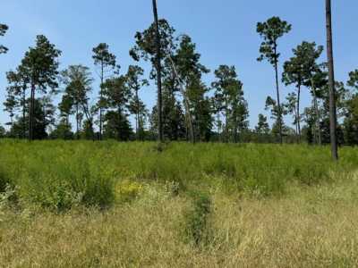 Residential Land For Sale in Livingston, Texas