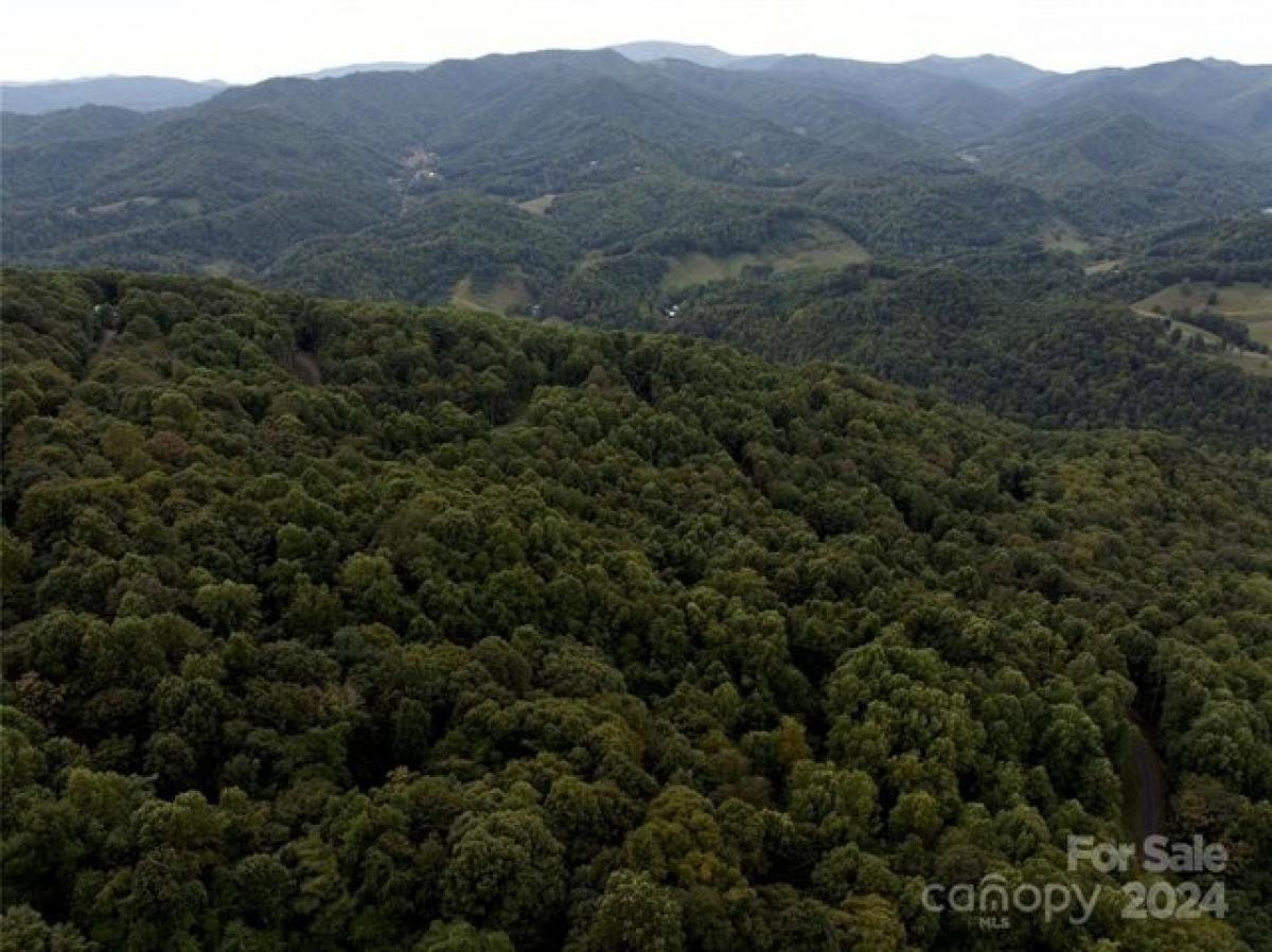 Picture of Residential Land For Sale in Bakersville, North Carolina, United States