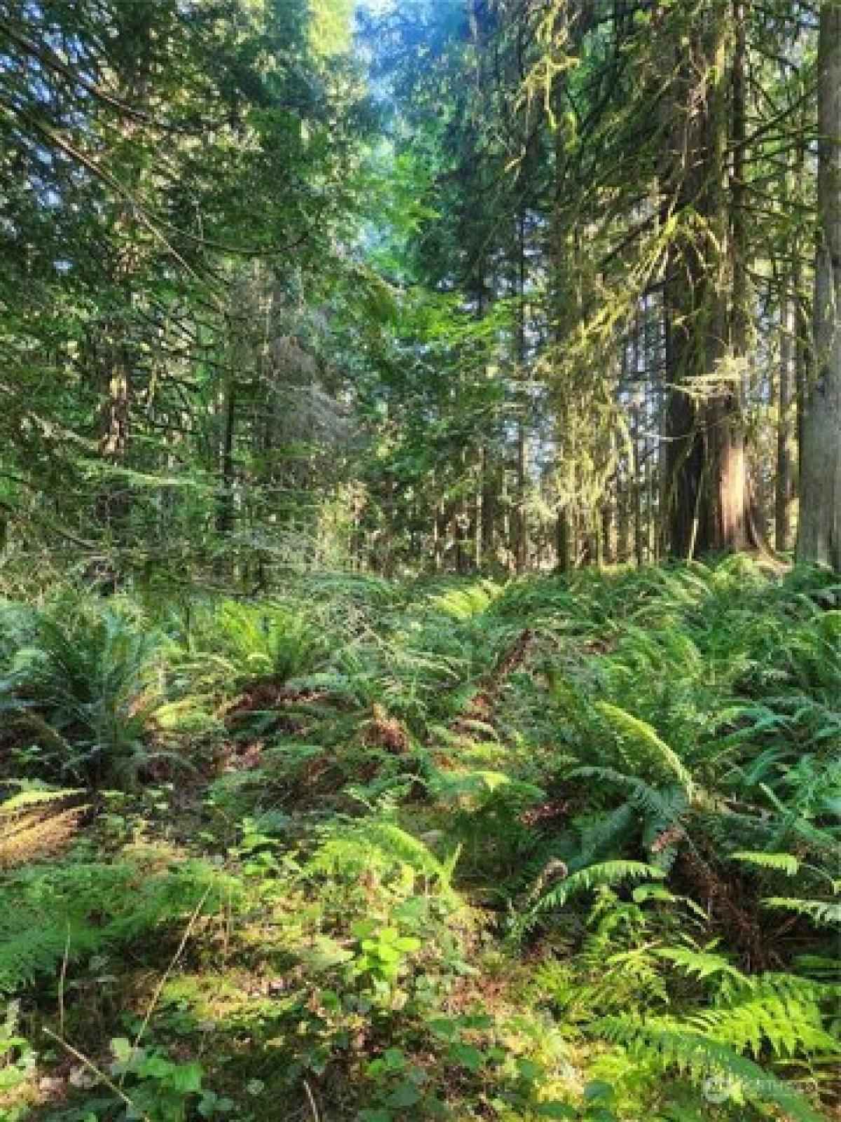 Picture of Residential Land For Sale in Snohomish, Washington, United States