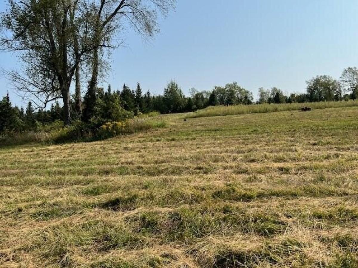 Picture of Residential Land For Sale in Bellevue, Michigan, United States