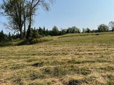 Residential Land For Sale in Bellevue, Michigan