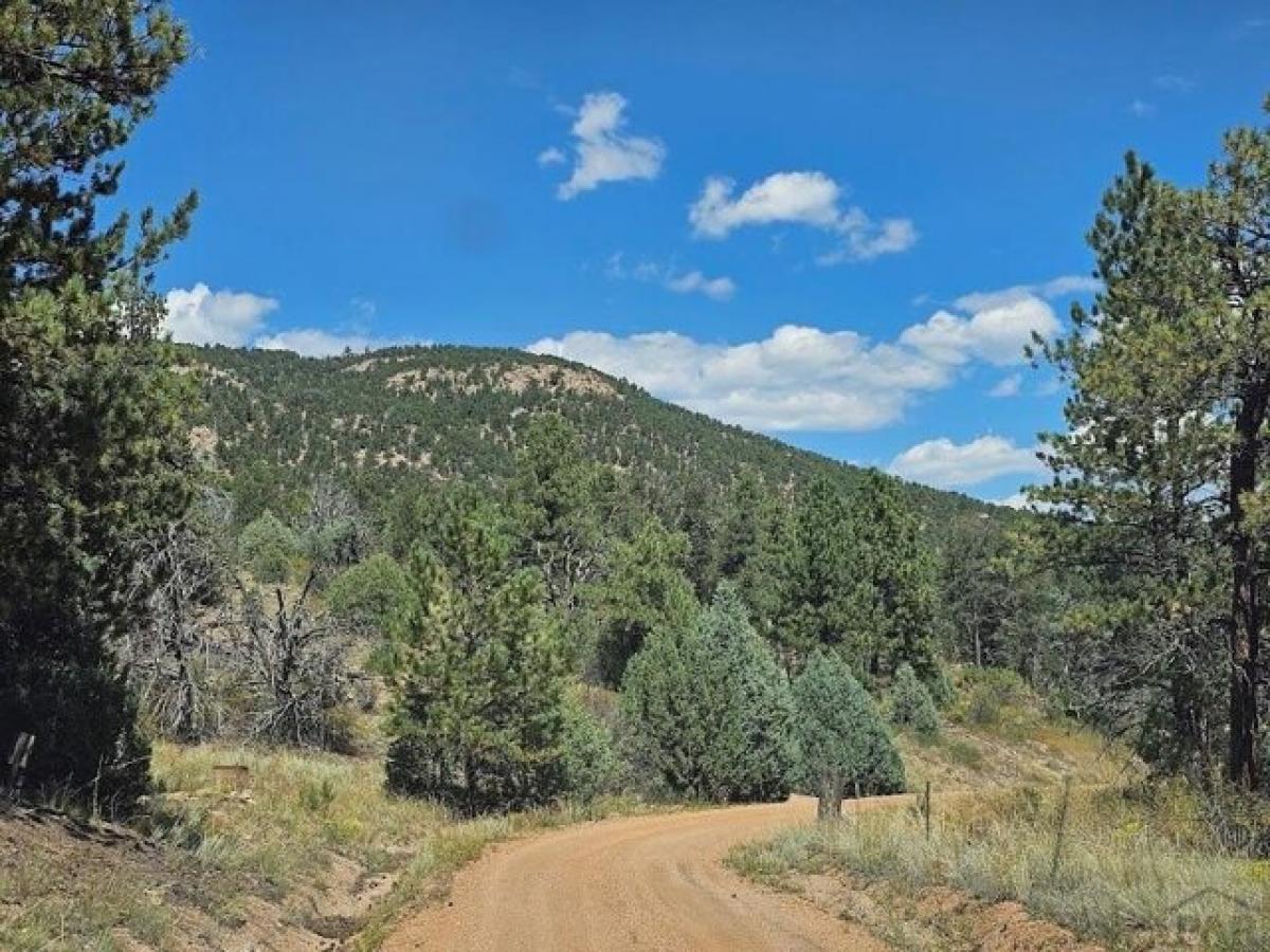 Picture of Residential Land For Sale in Cotopaxi, Colorado, United States