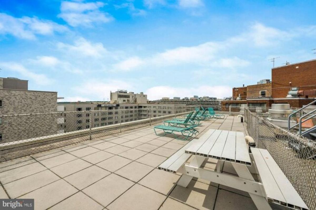 Picture of Apartment For Rent in Washington, District of Columbia, United States