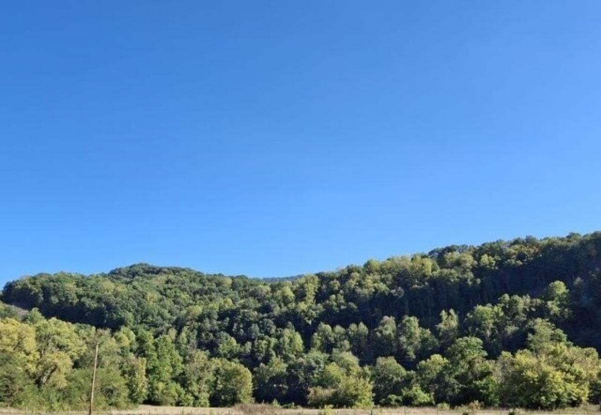 Picture of Residential Land For Sale in Narrows, Virginia, United States