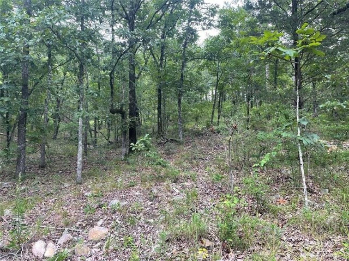 Picture of Residential Land For Sale in Broken Bow, Oklahoma, United States