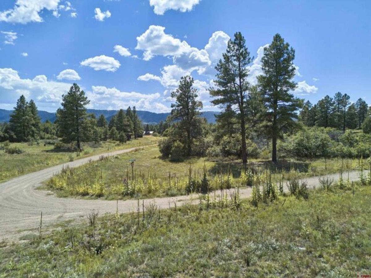 Picture of Residential Land For Sale in Pagosa Springs, Colorado, United States