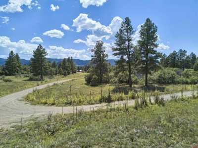 Residential Land For Sale in Pagosa Springs, Colorado