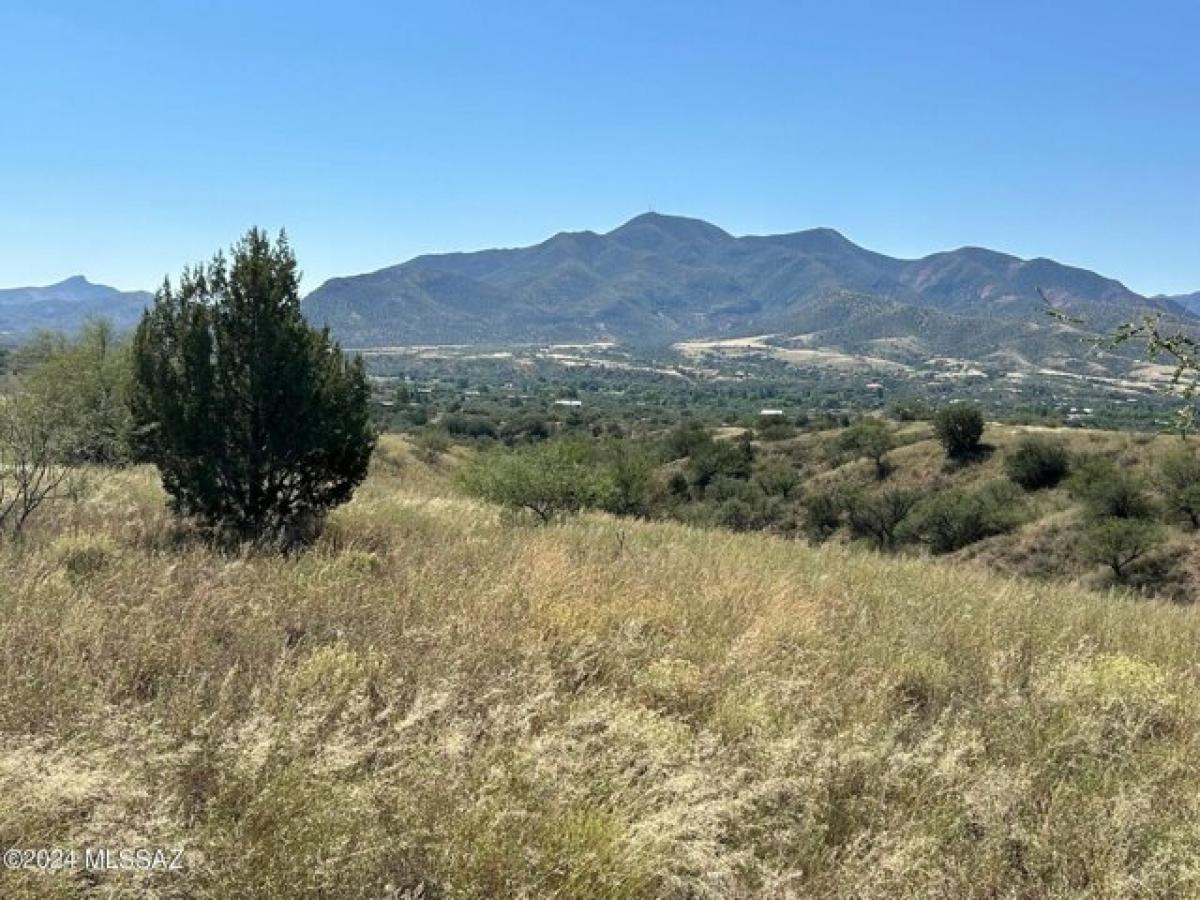 Picture of Residential Land For Sale in Patagonia, Arizona, United States