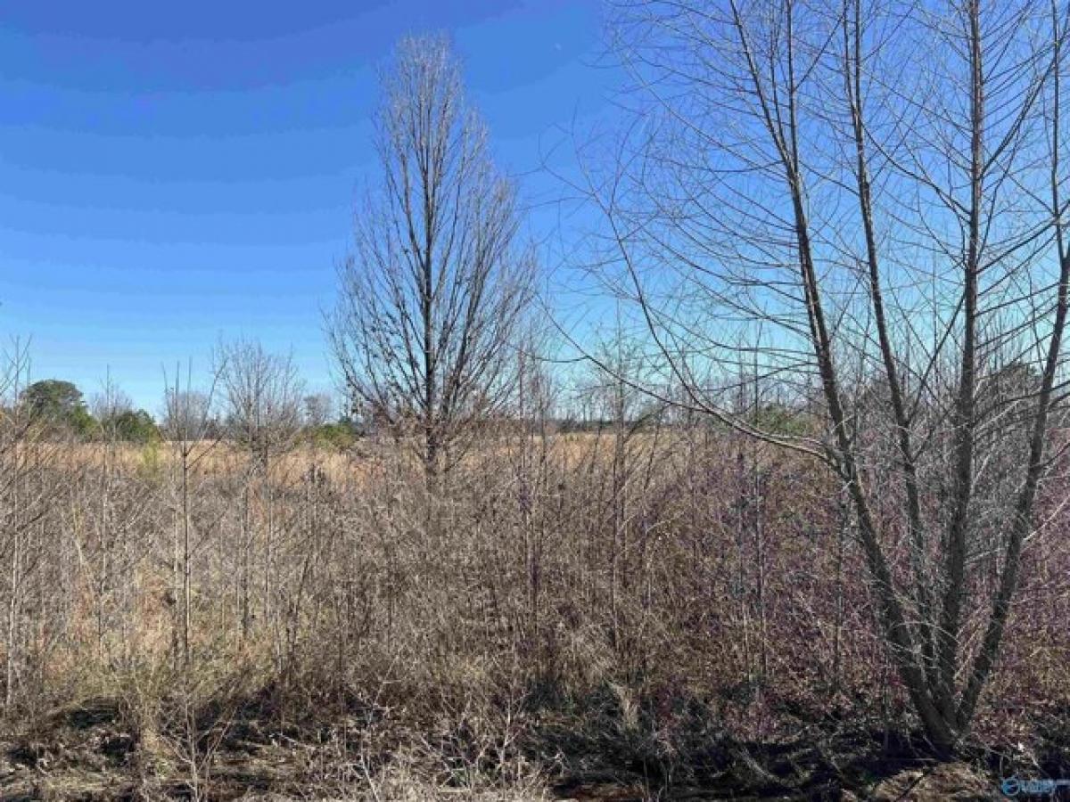 Picture of Residential Land For Sale in Moulton, Alabama, United States