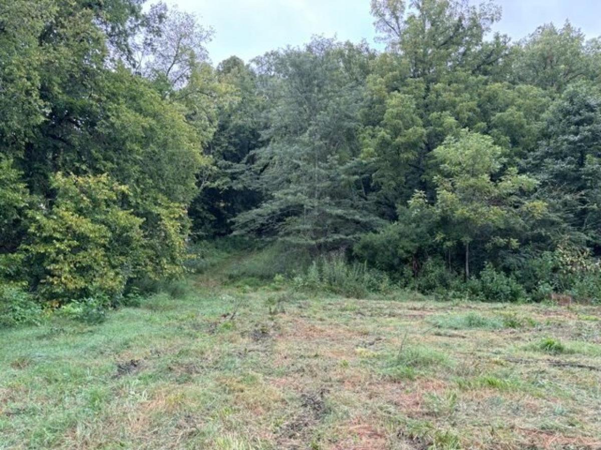 Picture of Residential Land For Sale in Frankewing, Tennessee, United States