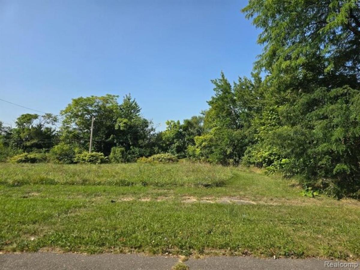 Picture of Residential Land For Rent in Detroit, Michigan, United States