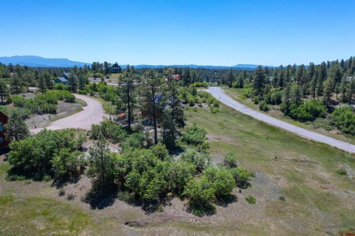 Picture of Residential Land For Sale in Pagosa Springs, Colorado, United States