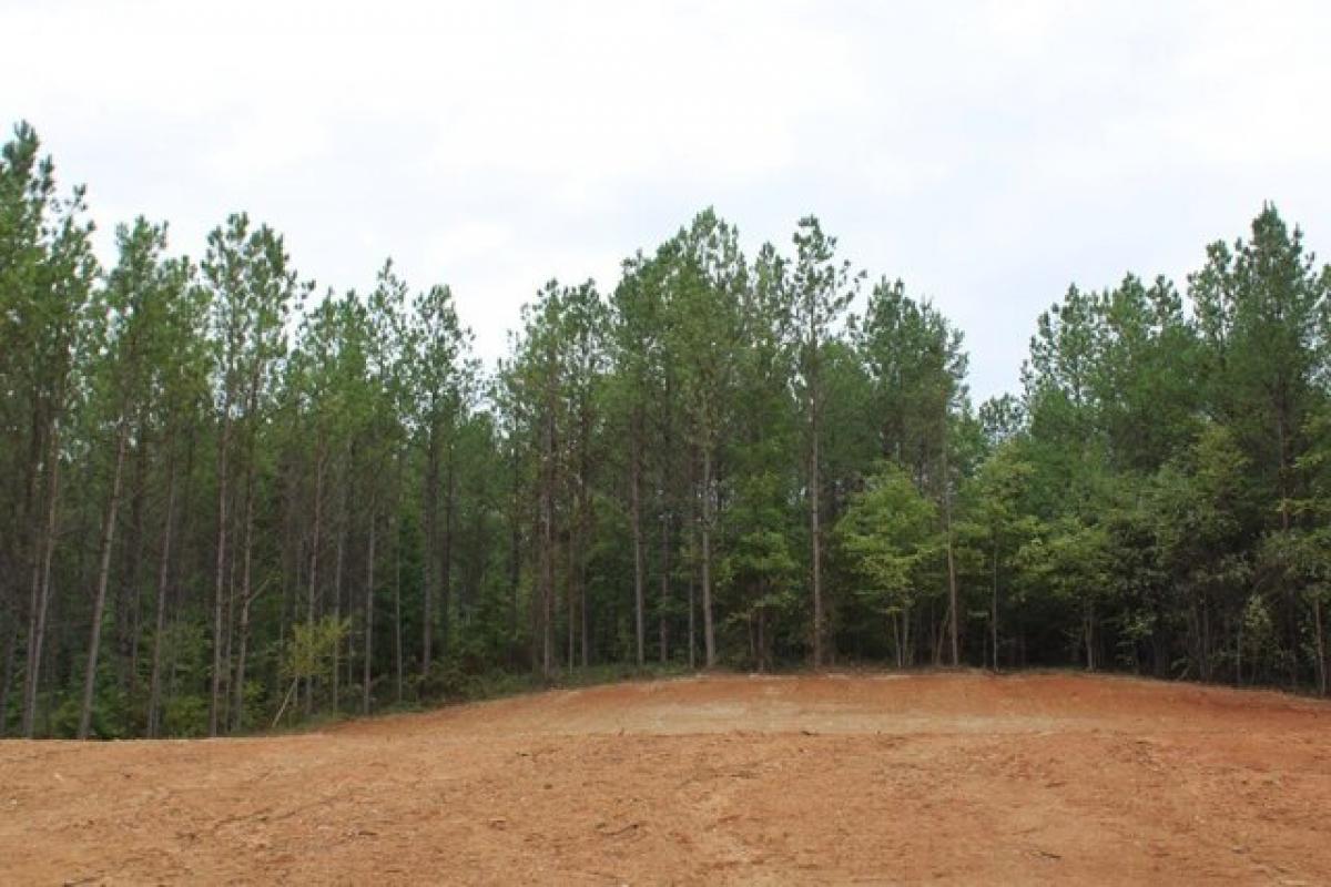 Picture of Residential Land For Sale in Pontotoc, Mississippi, United States