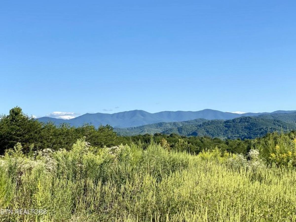 Picture of Residential Land For Sale in Tellico Plains, Tennessee, United States