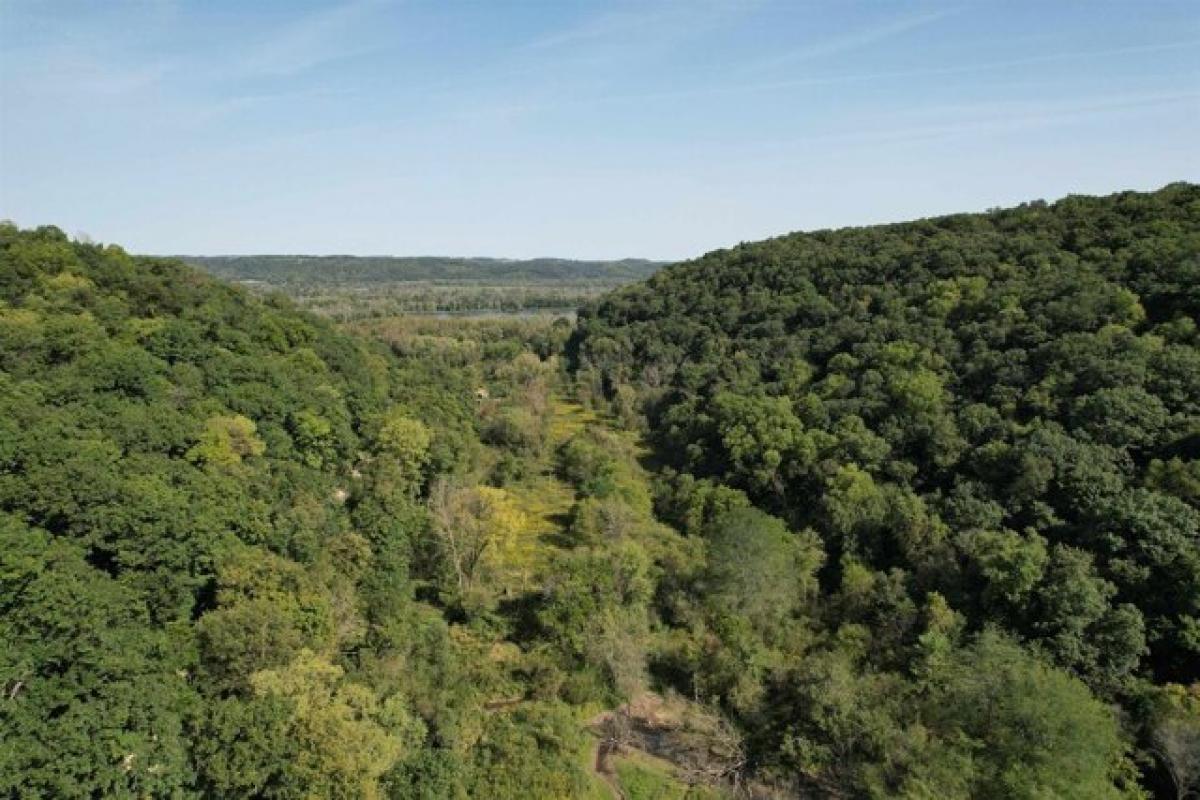 Picture of Home For Sale in Woodman, Wisconsin, United States