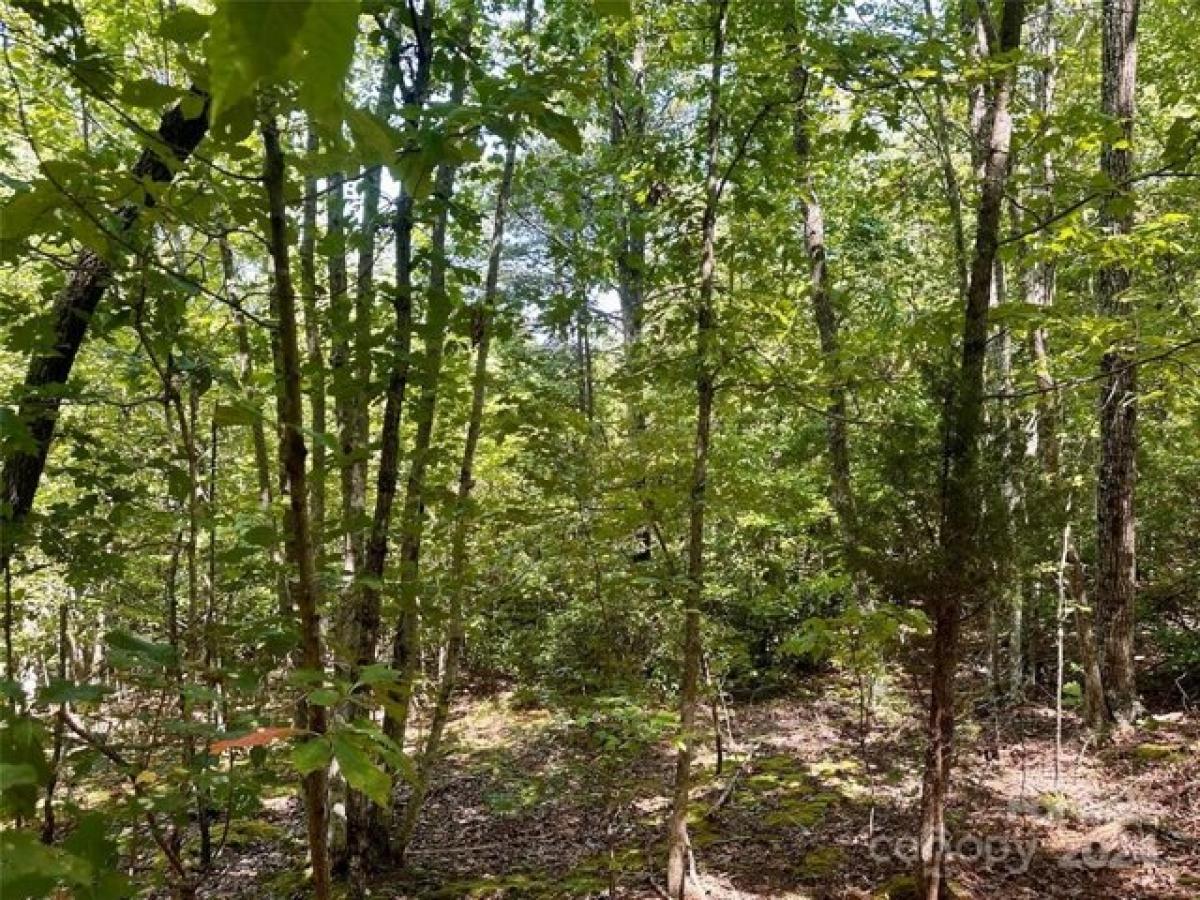 Picture of Residential Land For Sale in Bostic, North Carolina, United States