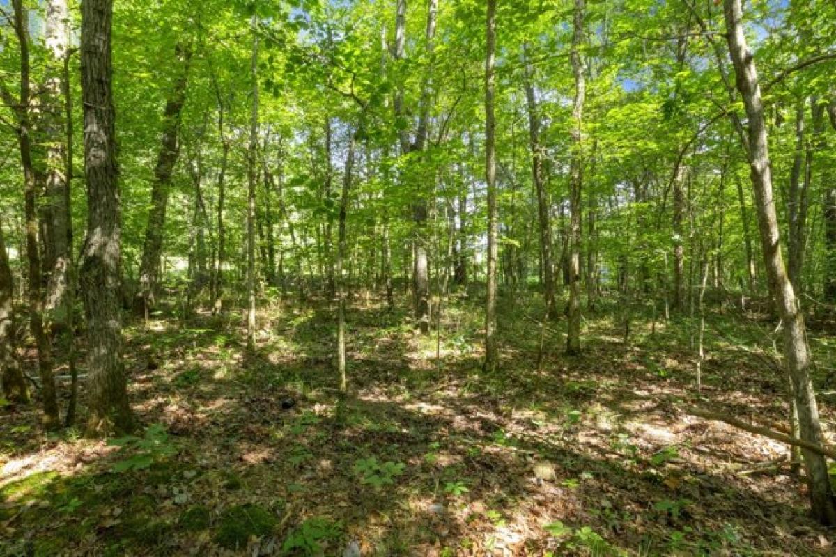 Picture of Residential Land For Sale in Fairview, Tennessee, United States