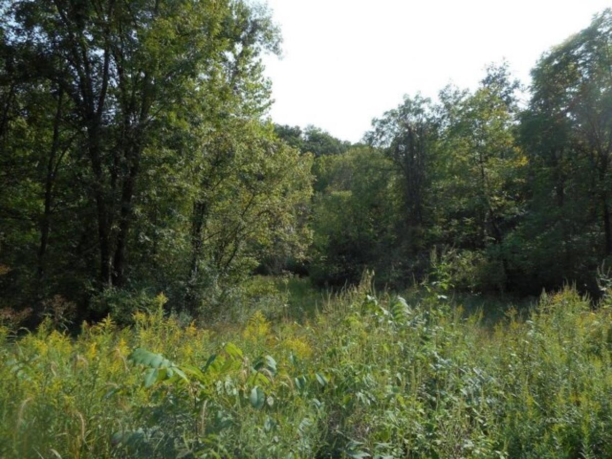 Picture of Residential Land For Sale in Glouster, Ohio, United States