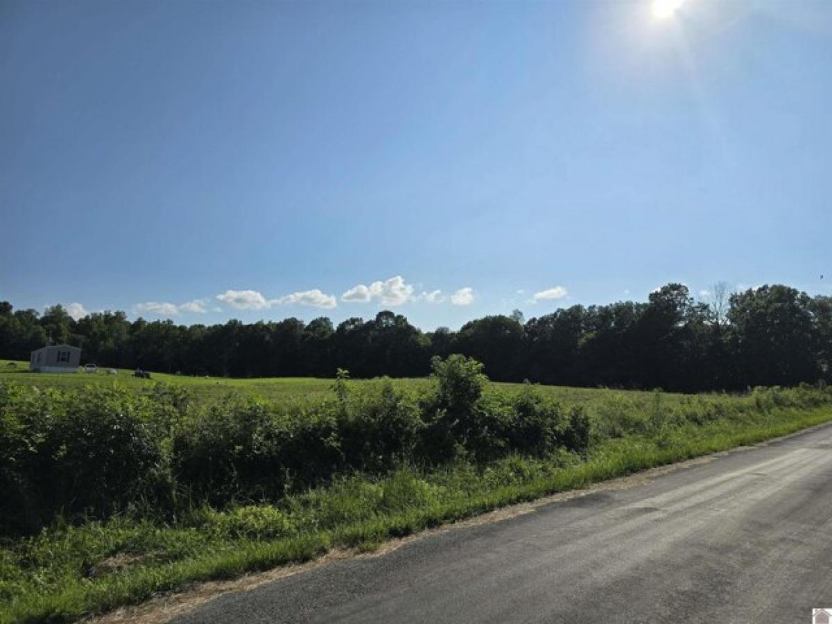 Picture of Residential Land For Sale in Princeton, Kentucky, United States