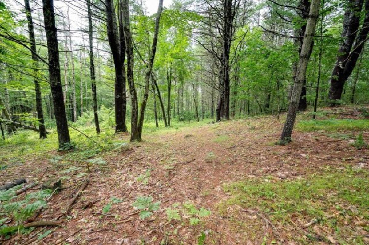 Picture of Residential Land For Sale in Merrimack, New Hampshire, United States