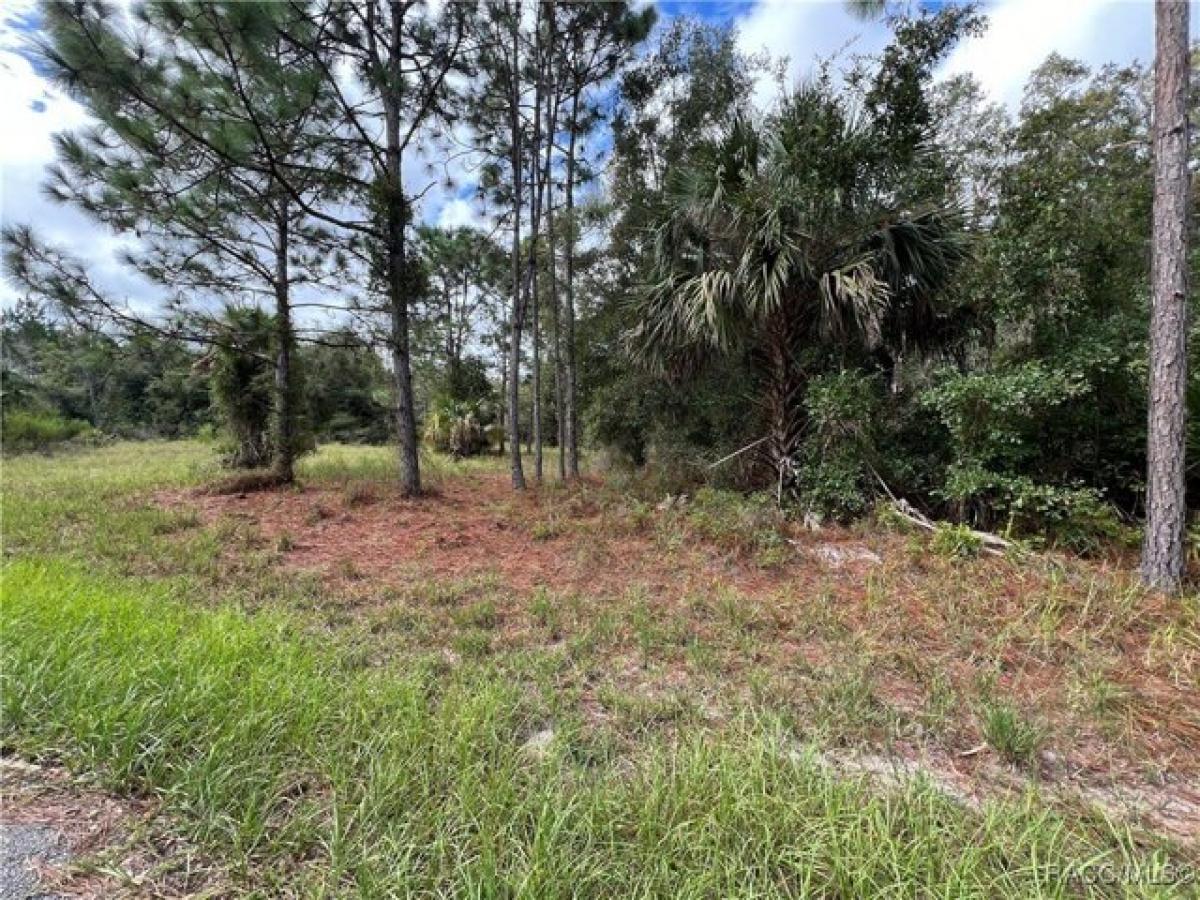 Picture of Residential Land For Sale in Crystal River, Florida, United States