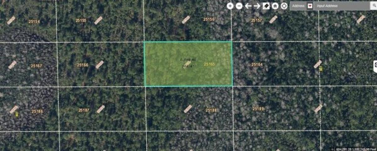 Picture of Residential Land For Sale in Orlando, Florida, United States