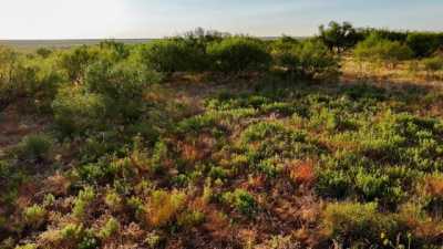 Residential Land For Sale in Electra, Texas