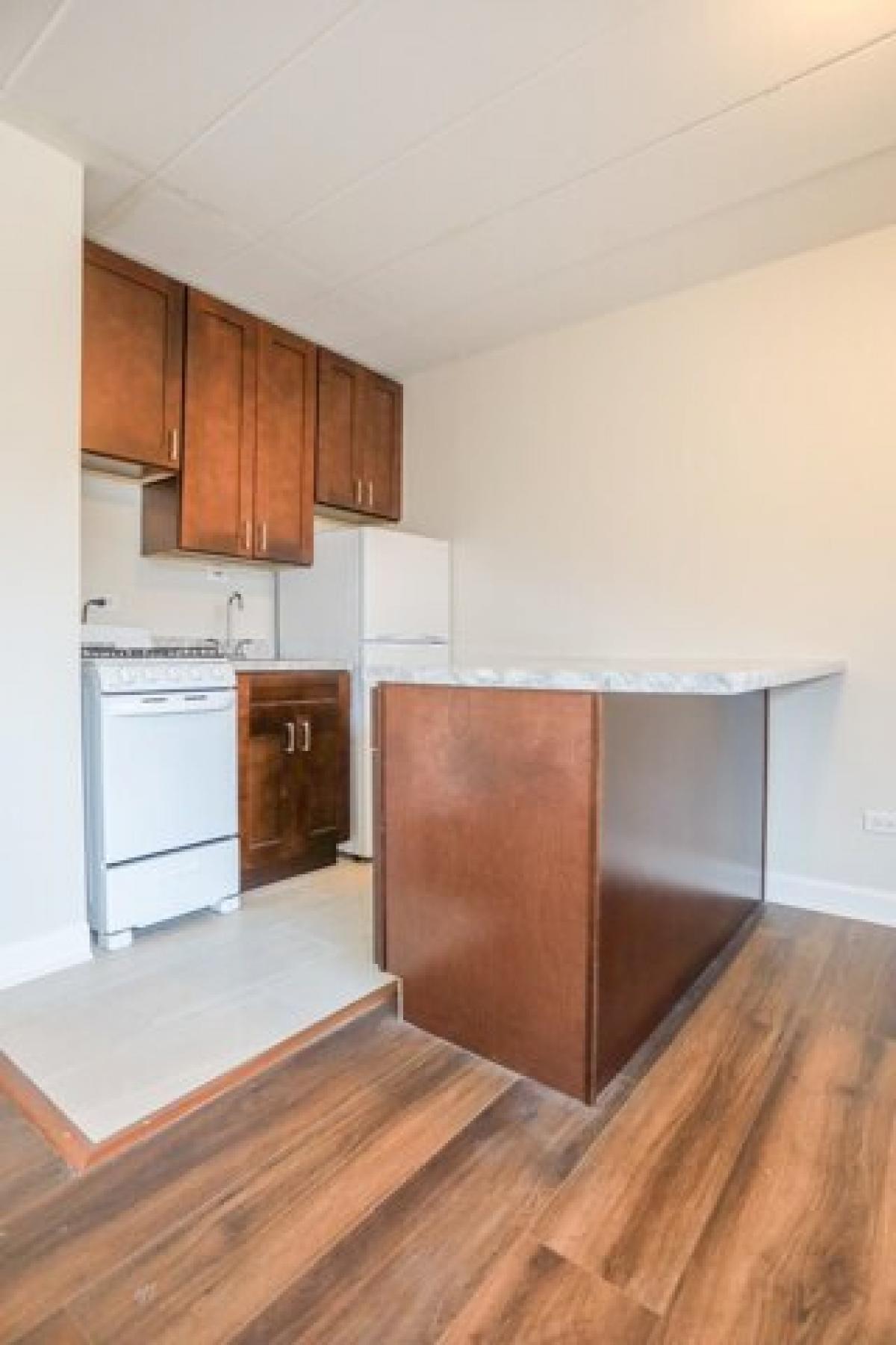 Picture of Apartment For Rent in Chicago, Illinois, United States