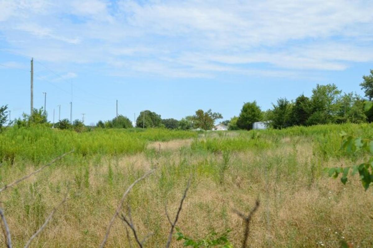 Picture of Residential Land For Sale in Fordland, Missouri, United States