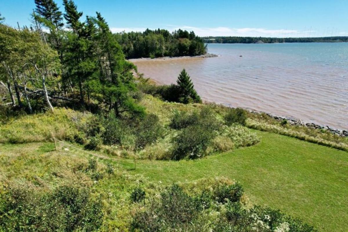 Picture of Home For Sale in Whiting, Maine, United States