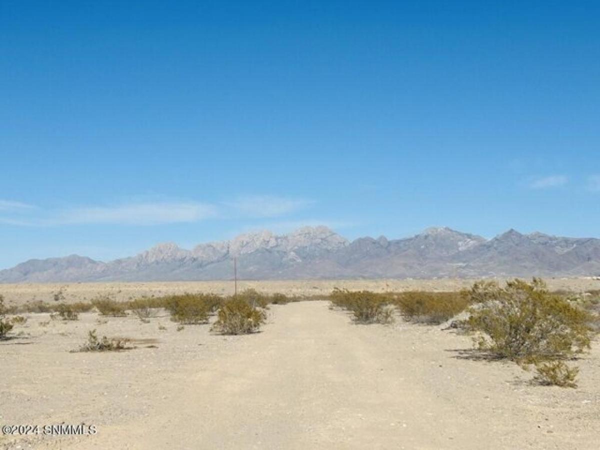 Picture of Residential Land For Sale in Las Cruces, New Mexico, United States