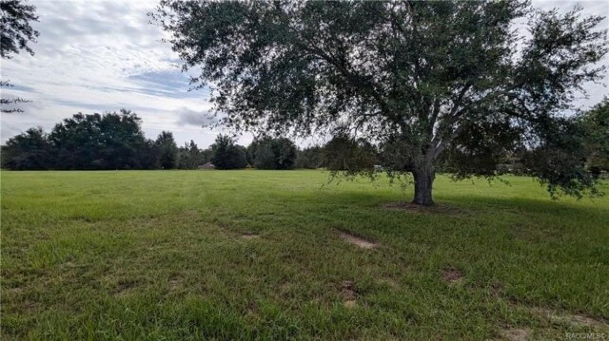 Picture of Residential Land For Sale in Hernando, Florida, United States